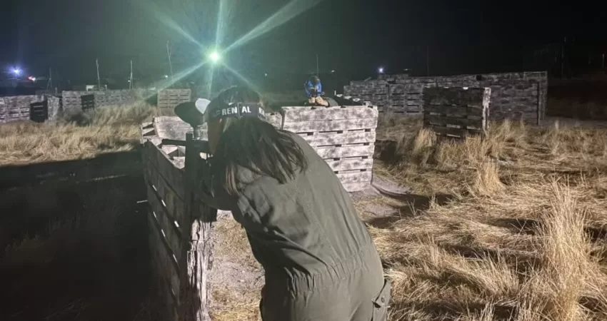 paintball nocturno2 paintball nocturno2